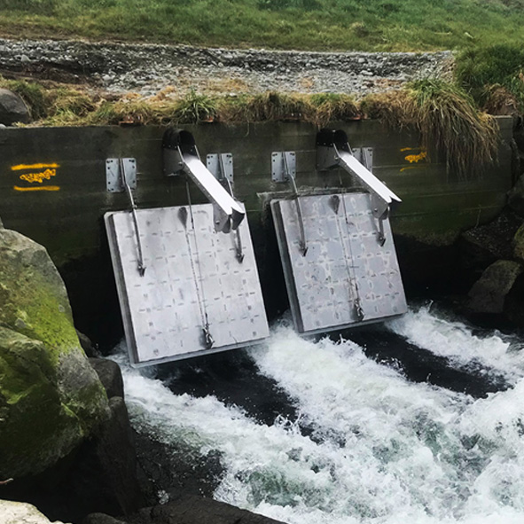 Fish Friendly Tide Gates protect property while allowing fish passage